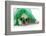 St Patricks Day Dog-Willee Cole-Framed Photographic Print