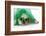 St Patricks Day Dog-Willee Cole-Framed Photographic Print