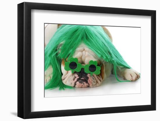 St Patricks Day Dog-Willee Cole-Framed Photographic Print