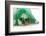 St Patricks Day Dog-Willee Cole-Framed Photographic Print