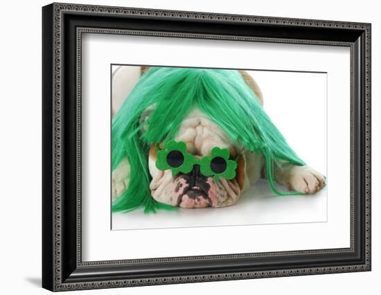 St Patricks Day Dog-Willee Cole-Framed Photographic Print