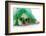 St Patricks Day Dog-Willee Cole-Framed Photographic Print