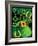 St Patricks Day Hat-Kimberly Allen-Framed Art Print