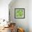 St Pattys pattern 1-Holli Conger-Framed Giclee Print displayed on a wall