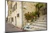 St. Paul De Vence, Alpes-Maritimes, Provence-Alpes-Cote D'Azur, French Riviera, France-Jon Arnold-Mounted Photographic Print