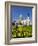 St. Paul's Cathedral with Daffodils, London, England, United Kingdom, Europe-Stuart Black-Framed Photographic Print