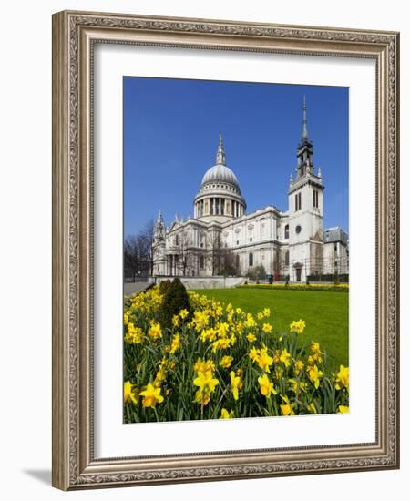 St. Paul's Cathedral with Daffodils, London, England, United Kingdom, Europe-Stuart Black-Framed Photographic Print