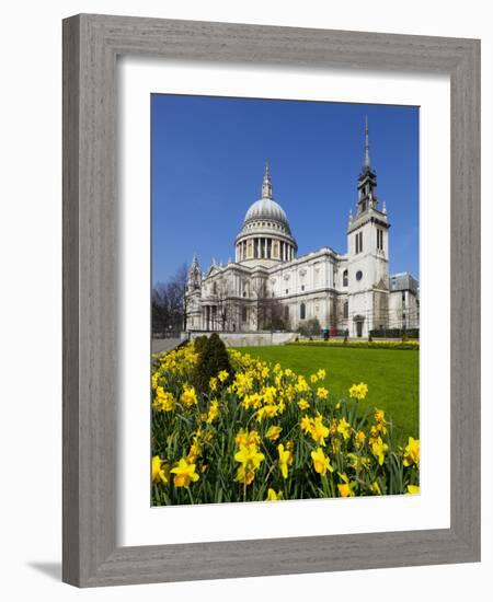 St. Paul's Cathedral with Daffodils, London, England, United Kingdom, Europe-Stuart Black-Framed Photographic Print