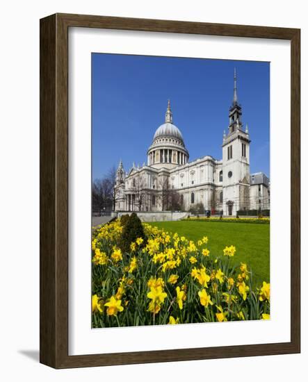 St. Paul's Cathedral with Daffodils, London, England, United Kingdom, Europe-Stuart Black-Framed Photographic Print