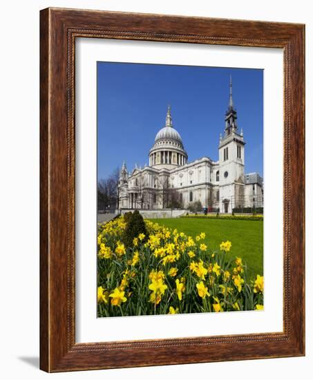 St. Paul's Cathedral with Daffodils, London, England, United Kingdom, Europe-Stuart Black-Framed Photographic Print