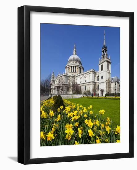 St. Paul's Cathedral with Daffodils, London, England, United Kingdom, Europe-Stuart Black-Framed Photographic Print