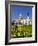 St. Paul's Cathedral with Daffodils, London, England, United Kingdom, Europe-Stuart Black-Framed Photographic Print