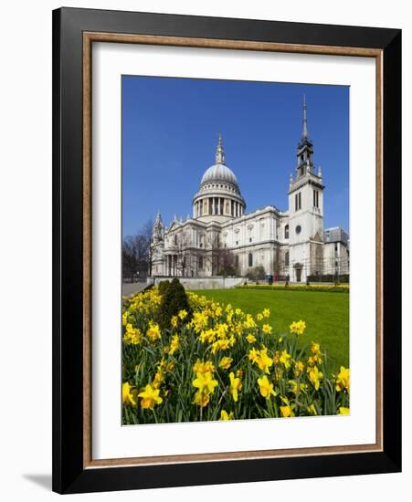 St. Paul's Cathedral with Daffodils, London, England, United Kingdom, Europe-Stuart Black-Framed Photographic Print