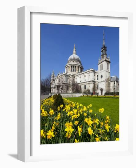 St. Paul's Cathedral with Daffodils, London, England, United Kingdom, Europe-Stuart Black-Framed Photographic Print