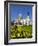 St. Paul's Cathedral with Daffodils, London, England, United Kingdom, Europe-Stuart Black-Framed Photographic Print