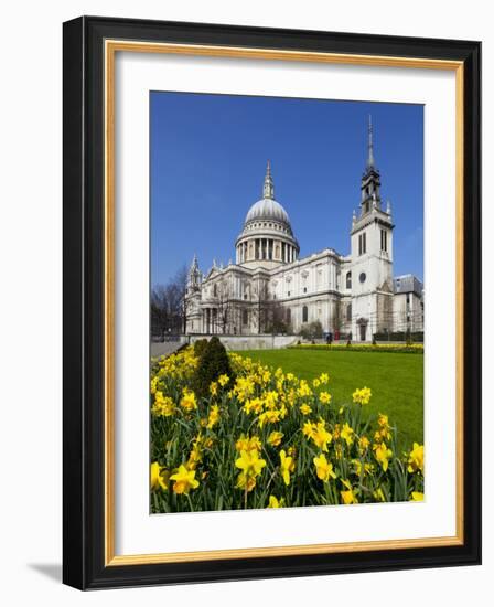 St. Paul's Cathedral with Daffodils, London, England, United Kingdom, Europe-Stuart Black-Framed Photographic Print