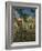 St. Paul's Hospital, St Remy, 1889-Vincent van Gogh-Framed Giclee Print