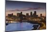 St Paul Skyline from Indian Mounds, Minneapolis, Minnesota, USA-Walter Bibikow-Mounted Photographic Print