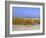 St. Pete's Beach, Florida, USA-Fraser Hall-Framed Photographic Print