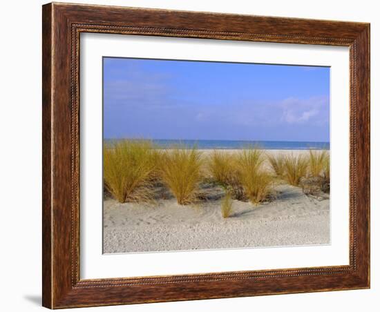 St. Pete's Beach, Florida, USA-Fraser Hall-Framed Photographic Print