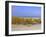 St. Pete's Beach, Florida, USA-Fraser Hall-Framed Photographic Print