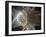 St. Peter's Basilica, Vatican, Rome, Italy-Jon Arnold-Framed Photographic Print