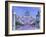 St. Peter's, Vatican, Rome, Lazio, Italy, Europe-John Miller-Framed Photographic Print