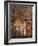 St Peters Basilica, Rome-Giacinto Gigante-Framed Giclee Print