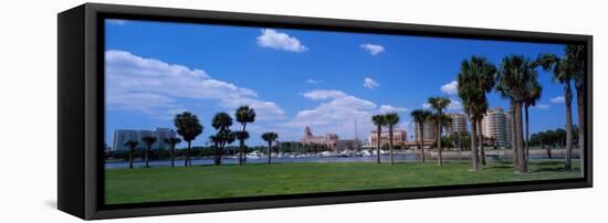 St Petersburg, FL-null-Framed Premier Image Canvas