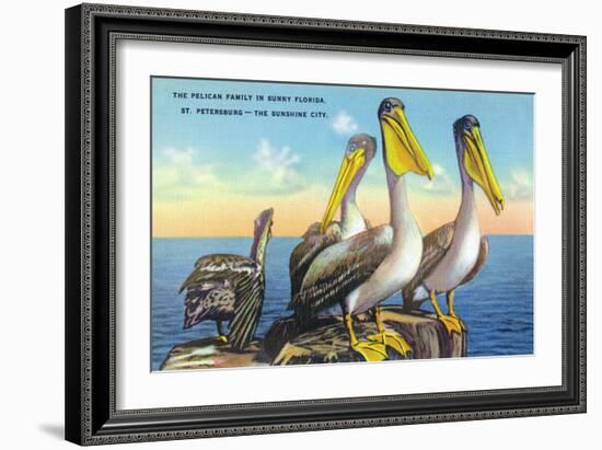 St. Petersburg, Florida, View of a Pelican Family in Sunny Florida-Lantern Press-Framed Art Print
