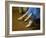 St.Petersburg, Russia, Detail of Ballerinas Shoes and Dress During a Short Rest Backstage During th-Ken Scicluna-Framed Photographic Print