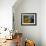 St.Petersburg, Russia, Detail of Ballerinas Shoes and Dress During a Short Rest Backstage During th-Ken Scicluna-Framed Photographic Print displayed on a wall