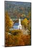 St. Sava Serbian Church and Cemetery in Jackson, California Surrounded by Fall Colors-John Alves-Mounted Photographic Print