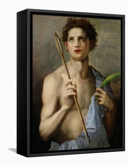 St. Sebastian Holding Two Arrows and the Martyr's Palm-Andrea del Sarto-Framed Premier Image Canvas