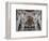 St. Stephan's Cathedral, Passau, Bavaria, Germany, Europe-Michael Snell-Framed Photographic Print