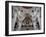 St. Stephan's Cathedral, Passau, Bavaria, Germany, Europe-Michael Snell-Framed Photographic Print