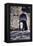 St. Stephen's Gate, Jerusalem, Israel-null-Framed Premier Image Canvas