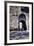 St. Stephen's Gate, Jerusalem, Israel-null-Framed Photographic Print