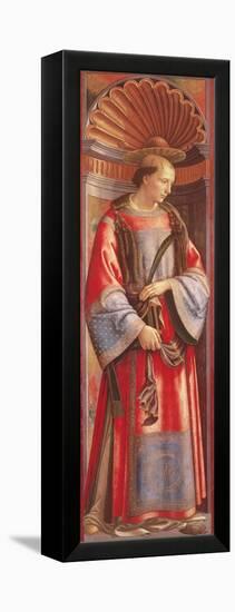 St. Stephen the Martyr-Domenico Ghirlandaio-Framed Premier Image Canvas