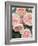 St. Swithan Roses-Clay Perry-Framed Photographic Print