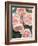 St. Swithan Roses-Clay Perry-Framed Photographic Print