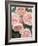 St. Swithan Roses-Clay Perry-Framed Photographic Print