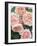 St. Swithan Roses-Clay Perry-Framed Photographic Print