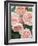 St. Swithan Roses-Clay Perry-Framed Photographic Print