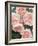 St. Swithan Roses-Clay Perry-Framed Photographic Print