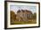 St Thomas' Church, Winchelsea-Alfred Robert Quinton-Framed Giclee Print