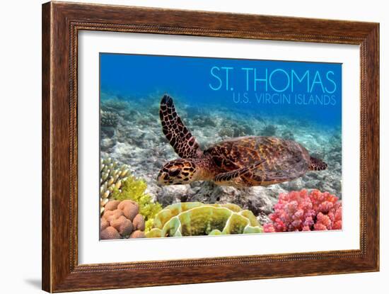 St. Thomas, U.S. Virgin Islands - Sea Turtle and Coral-Lantern Press-Framed Art Print