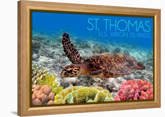 St. Thomas, U.S. Virgin Islands - Sea Turtle and Coral-Lantern Press-Framed Stretched Canvas