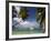 St. Vincent and the Grenadines, Bequia, Port Elizabeth, Admiralty Bay-Walter Bibikow-Framed Photographic Print