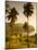 St. Vincent and the Grenadines, St. Vincent, Leeward Coast, Chateaubelair, Elevated Coastal View-Walter Bibikow-Mounted Photographic Print